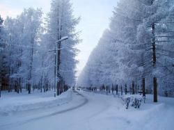 Мельников С.В. 026